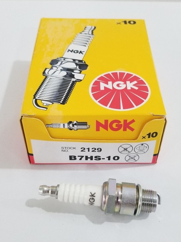Bujia NGK